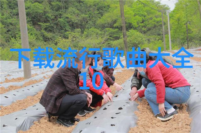 洪武三十二解锁历史真相揭开明朝皇帝背后的故事