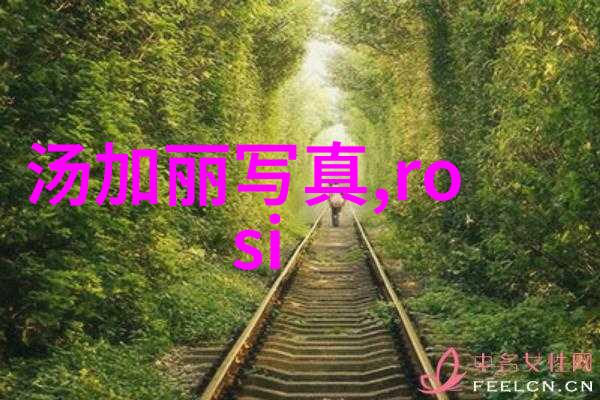 情侣网名撞你满怀的可爱CP昵称别急让我们的名字成为你心中最温柔的比喻