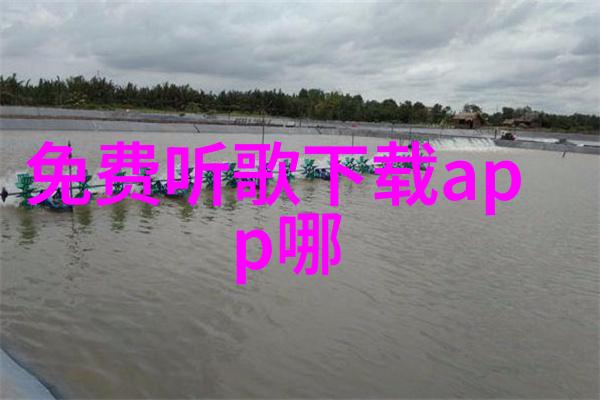 竞技对决体育与才艺并重的直播盛宴