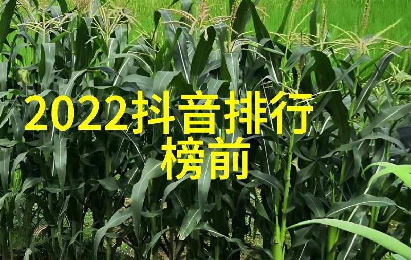 双手并进2手手机的未来趋势与应用实践