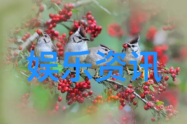古风诗句中的冷门二字网名干净而不失韵味
