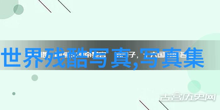 音符之翼自由旋律的翅膀