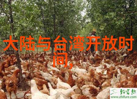 守护心尖的独家权利专一者的情感宣言