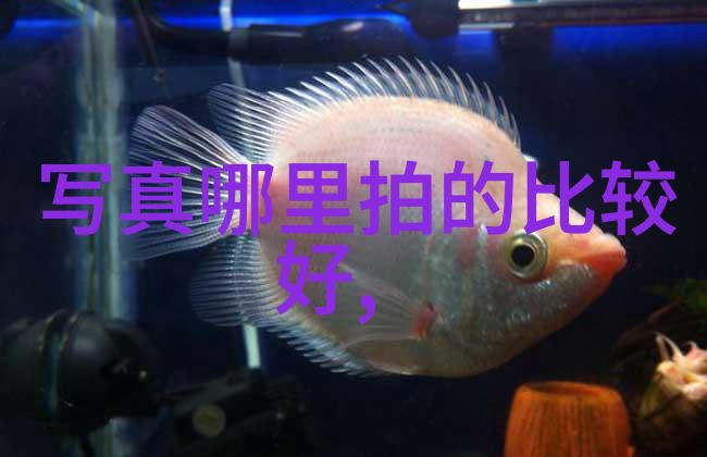 幸福爱情的图片说说大全有喜欢的人真好心情如同温暖的阳光洒满了生活中的每一个角落就像书中跳跃的文字与你