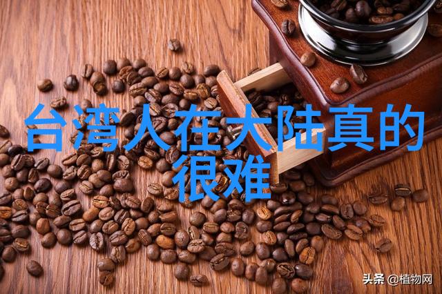 免费听歌app第一名音乐无界的冠军
