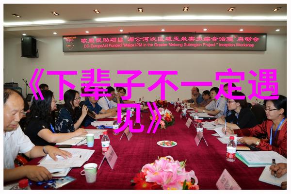 台湾最近的政治动荡背后有何深层原因