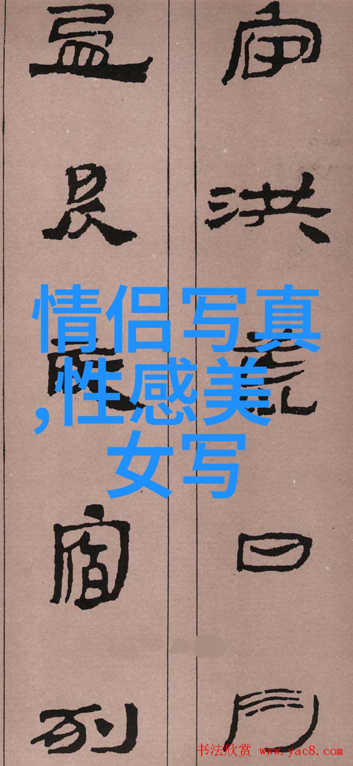 银幕上的梦想电影艺术与观影体验