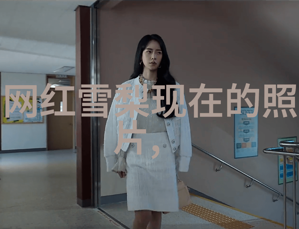 日本娱乐风云探秘成人综艺背后的文化与魅力