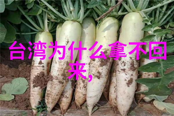 除了演员和导演天启影视中还有哪些重要角色是制作成功作品的关键因素