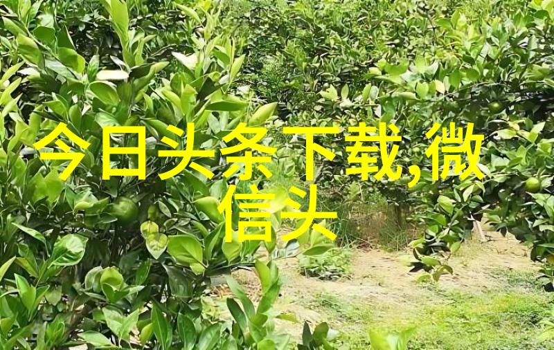 青岛纯生IN乐而生2021张信哲未来式2.0世界巡回演唱会海口开唱就像一场盛大的节日每个音符都在空气