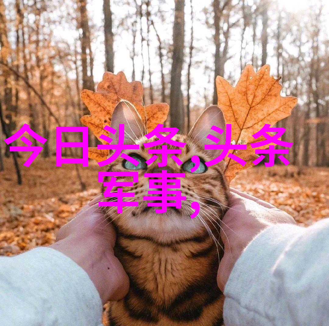 新闻头条毕福剑自杀你知道吗前国足队长毕福剑的故事比他自己想象中的还要复杂