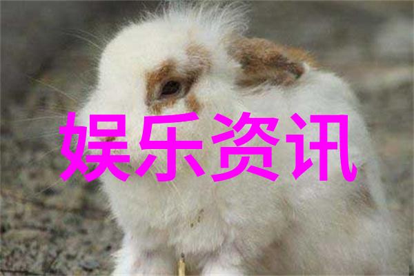 墨韵飞扬简笔画的色彩翩跹