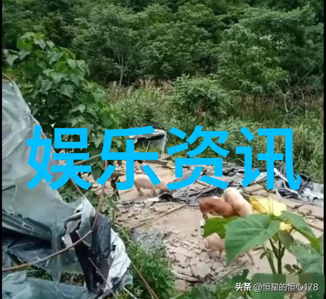 银河综艺馆星辰下的娱乐盛宴
