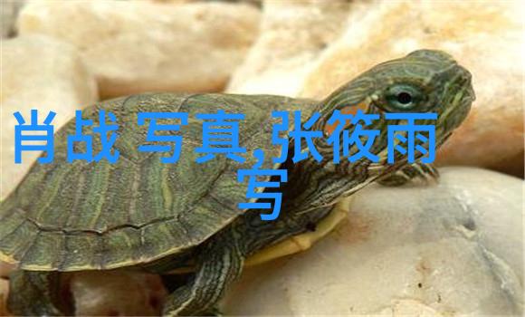 我来告诉你这世界一共有几个大陆