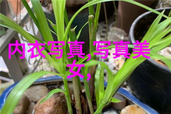 K-POP与J-POP两国娱乐界的热浪