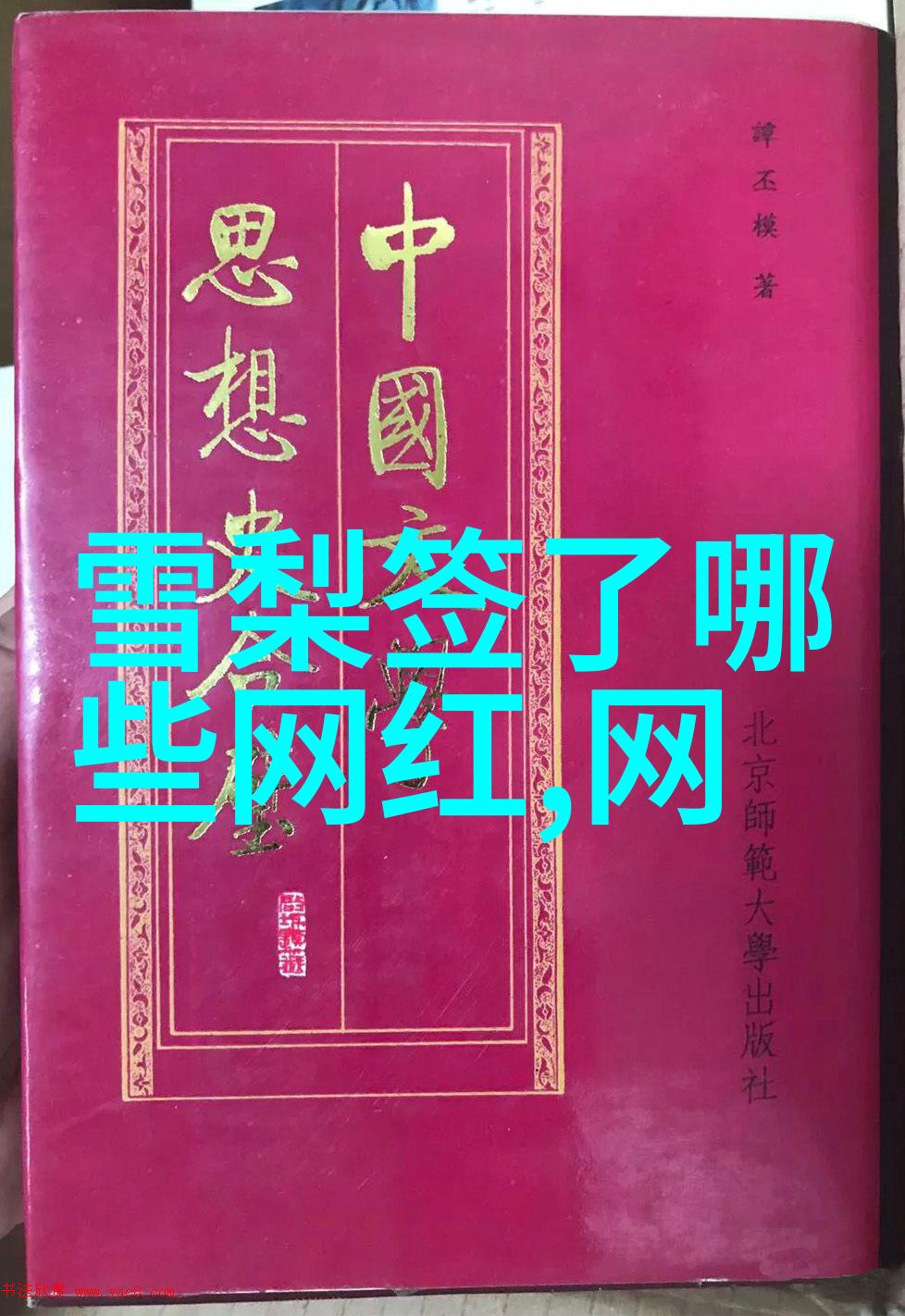 代号山豹 电视剧 - 追风者山豹行动