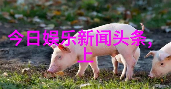 探索音响艺术揭秘最具魅力的纯音乐杰作