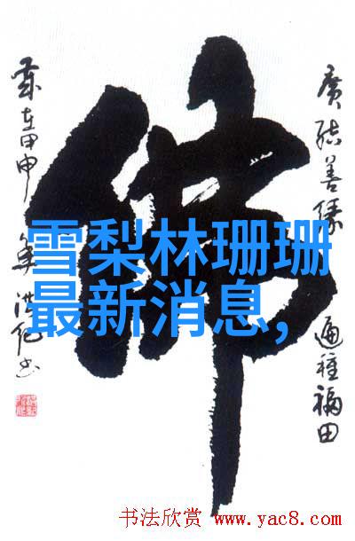易经六十四卦书籍-解读古韵深度探索易经六十四卦的智慧与文化意义