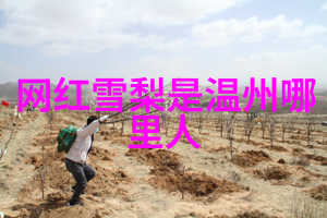 网红湾湾微博虎牙童锦程团建高颜值妹妹齐聚直播间竟然一间包间坐不下