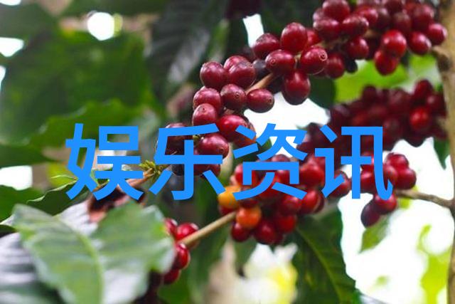 情感共鸣最佳情感表达者探索歌手的心灵风景线