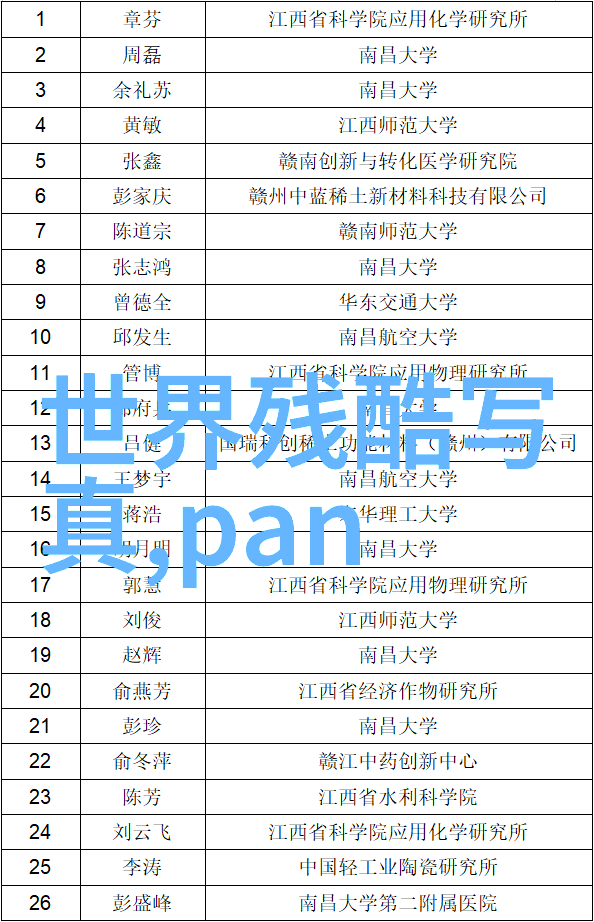 兰陵王妃小说我是兰陵王妃的侍女穿越之恋与背后的秘密