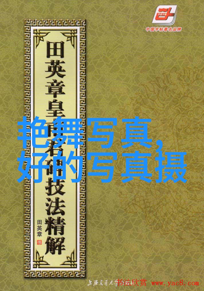 日本写真风格探索东方美学的艺术