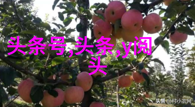导演角度下的艺术构建我的前半生的拍摄技巧