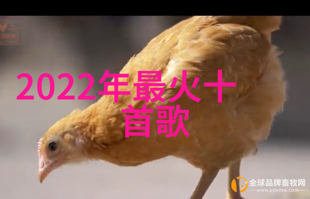 丁海峰电视剧我家有个丁海峰揭秘他背后的真实故事