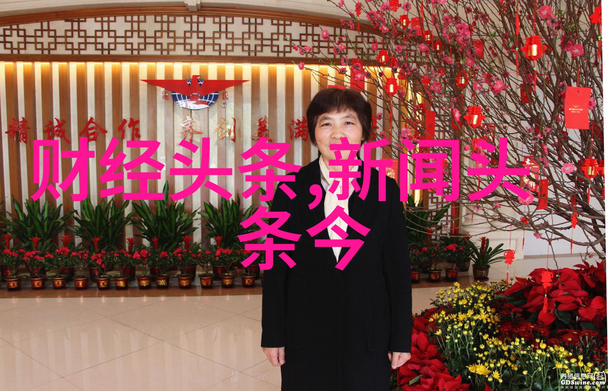 家庭亲情与高清电影探索我的小后妈完整版观看HD电影背后的故事