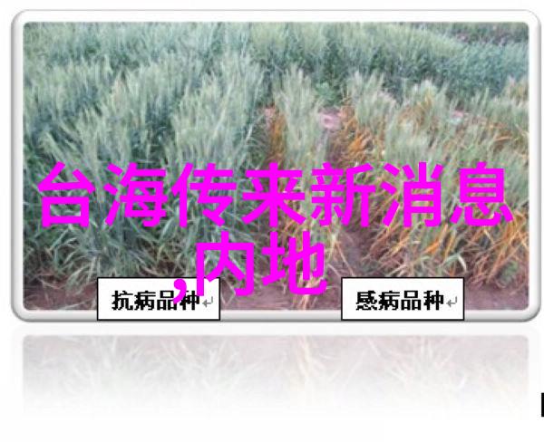海南盛典绽放智族GQ年度人物头条女神光芒万丈重返自然探索之旅以可持续发展为旗帜回归本真精神的巅峰之作