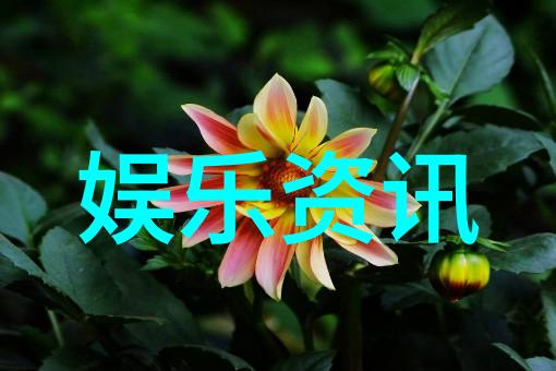 台湾启航新篇章和风轻拂海岸线上的希望之光