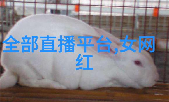 斗罗大陆重生唐三神话级修炼系统的奇迹