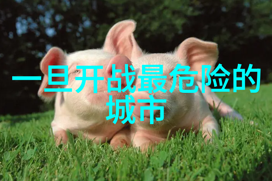 青春不待恋爱没谈过恋爱的我们综艺精彩全集免费观看青春无需恋爱聚焦未经历情感纠葛的年轻人生活