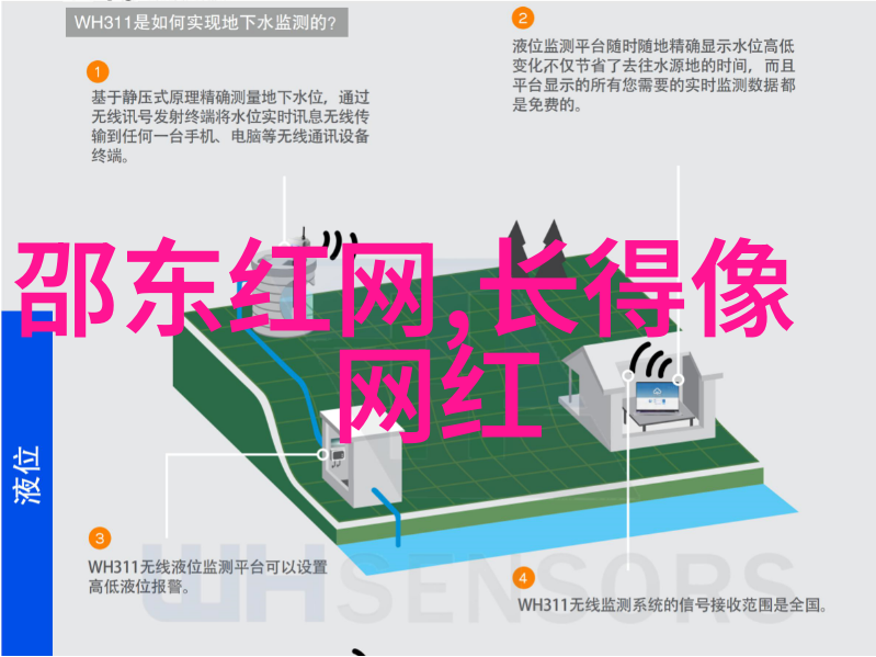 2021年最火的网红人物简介