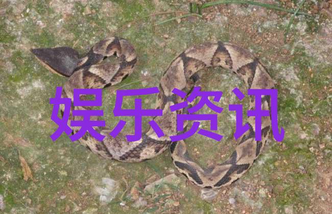 古奥秘图谱揭秘宇宙之谜