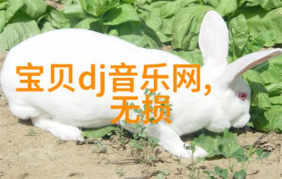 qq起名非主流相册秀场