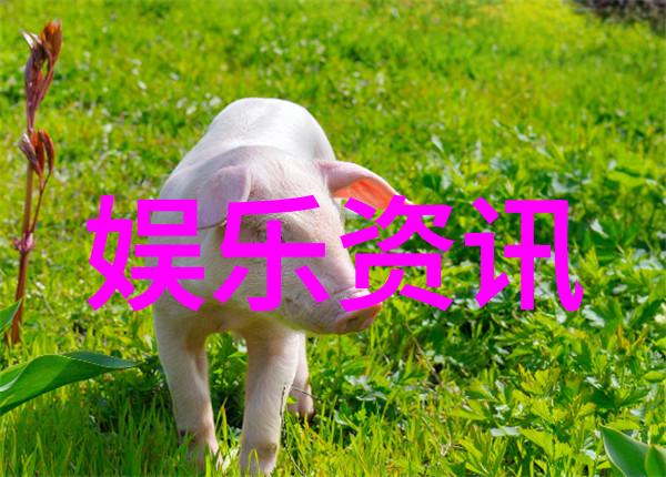 赵英俊去世易经六十四卦启示 赵英俊生平简介