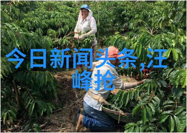 倪新宇如同芋头条般引领影视宁波之夜多部剧集待播令人期待如潮