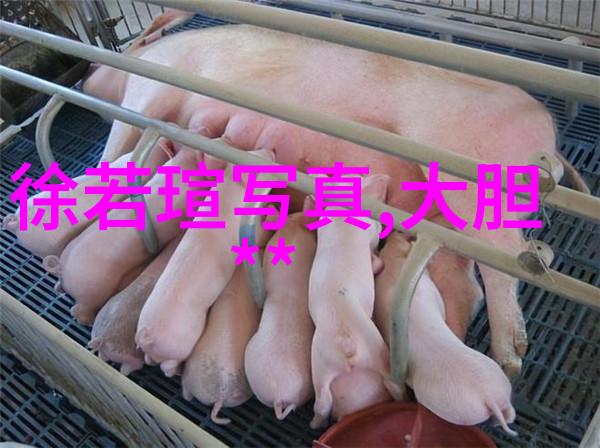 掌心肆宠动物的温暖与忠诚