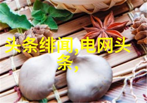 重生之娱乐天王我是娱乐界的新人王从零到英雄的逆袭
