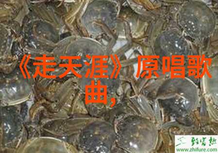 时尚王引领俄罗斯电影周开幕化作文化交流的绚丽画卷