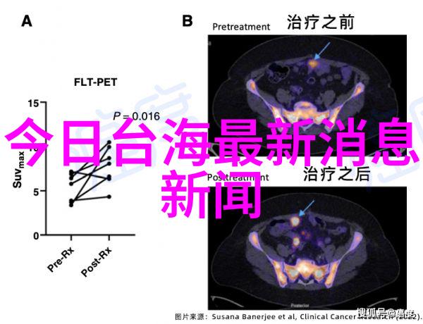 在全球范围内哪种文化或地区的纯音乐受到最广泛的喜爱和赞赏