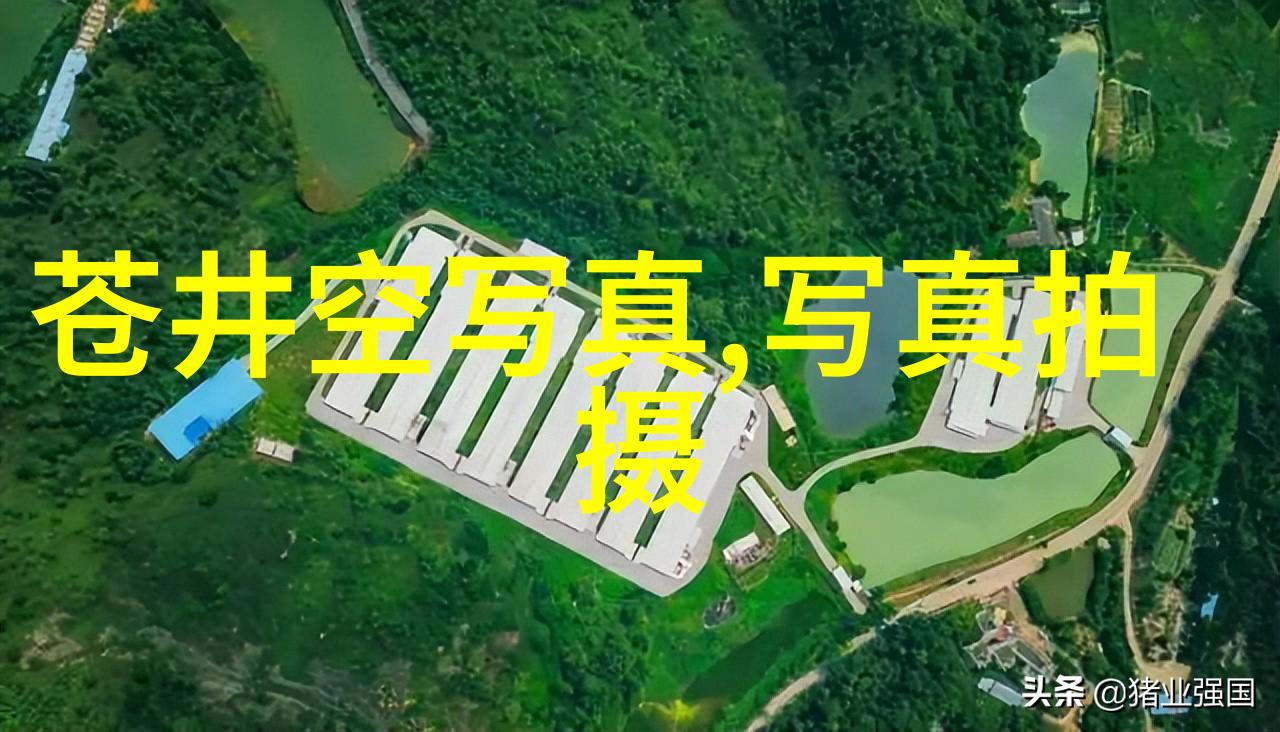 穿戴小八卦揭秘其在生活中的神奇运用