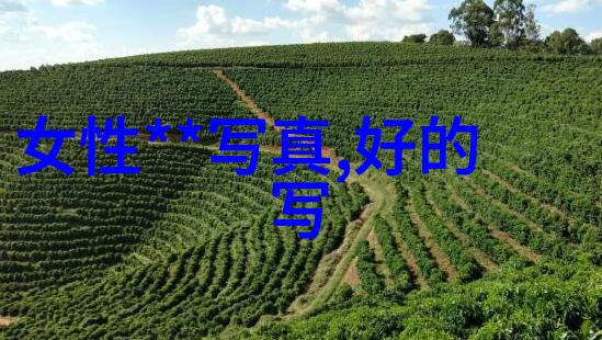 将军归来战尘落定英雄重现