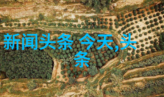 头条日报揭秘新闻界的风云变幻与时代的脉搏