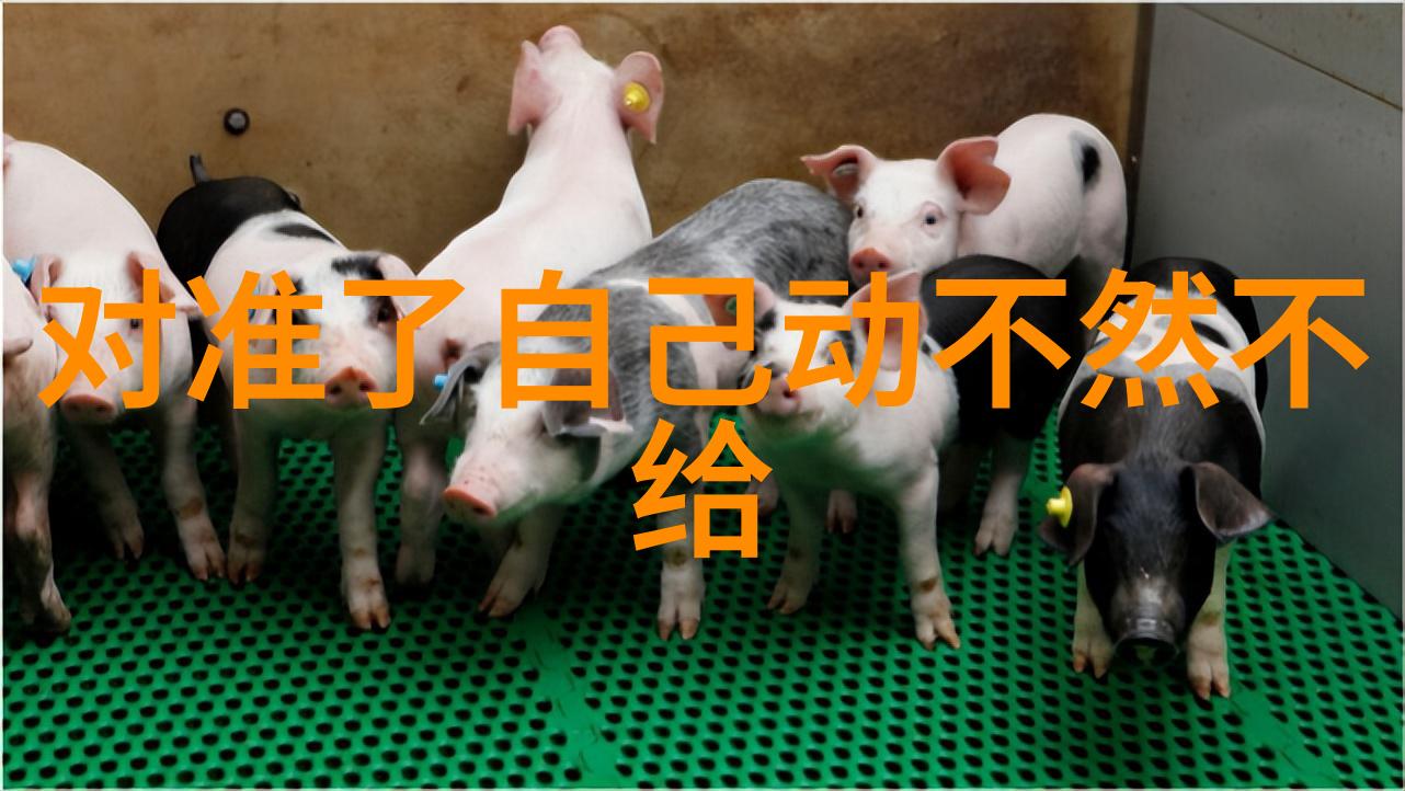 电网头条超级能量网络未来城市的智能供电系统