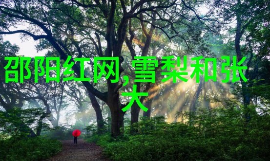 侯勇主演的电视剧-风暴中的英雄