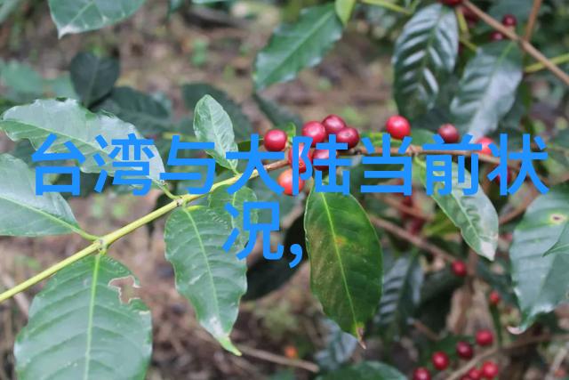 揭秘家宅八卦风水方位图解之谜背后的神秘力量等待你发现