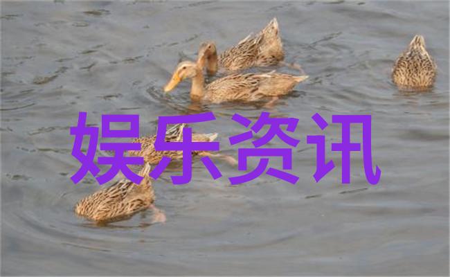 温如言十年一品揭秘电影免费观看的艺术之谜
