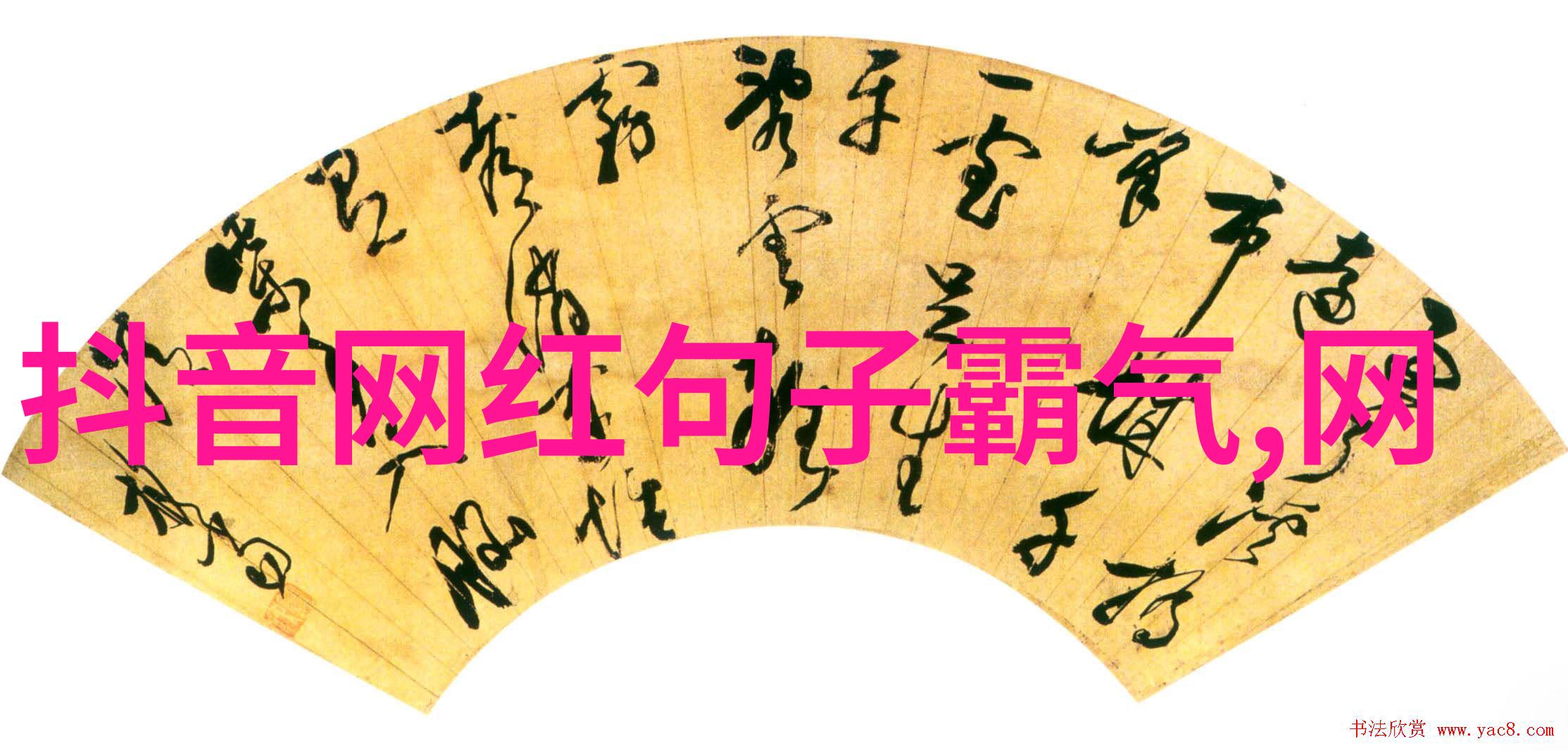 霸气回音最好听的网名盛宴